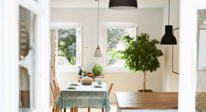 20250522-Blog-Image-Header-original